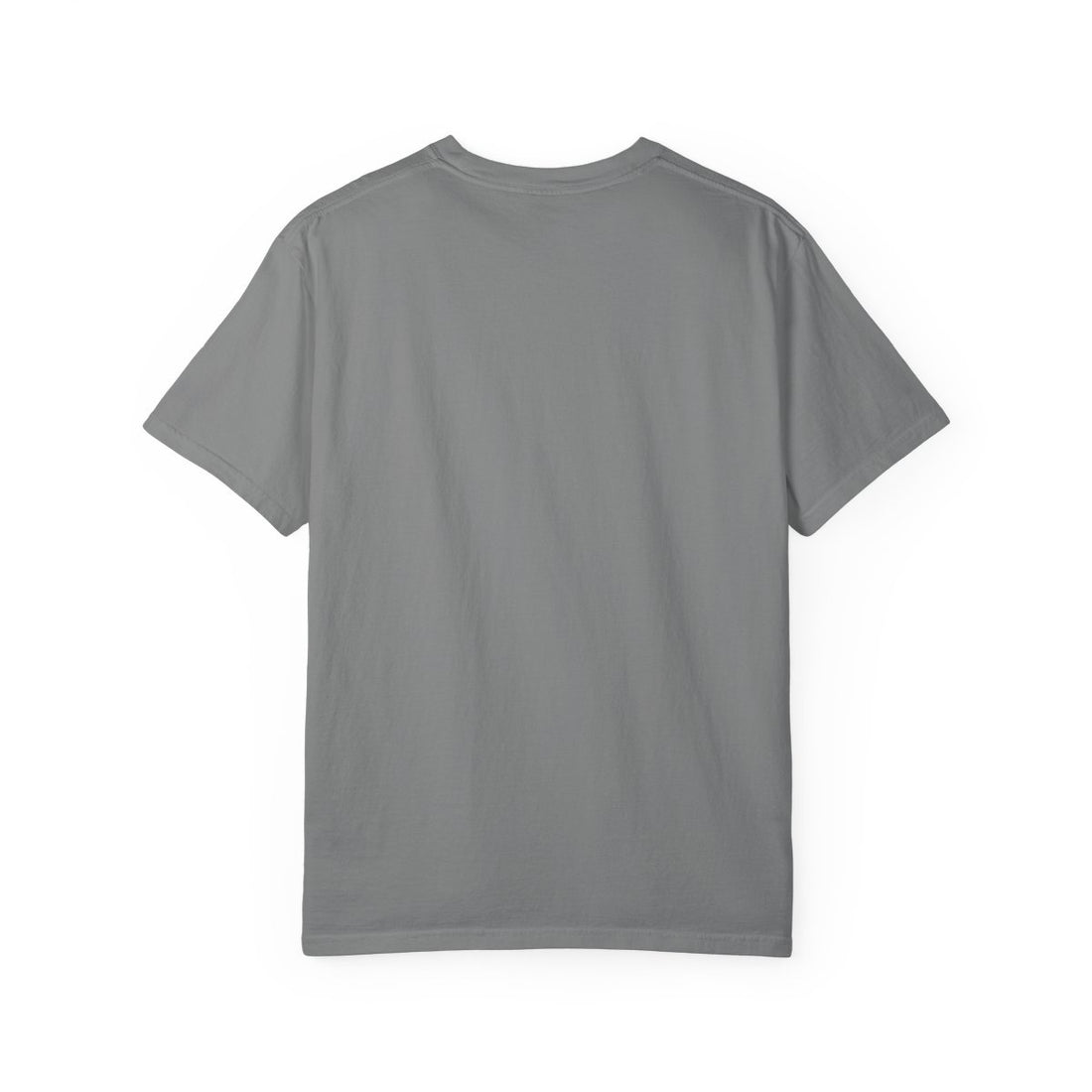Grey — Back | Cavalier King Charles Spaniel 'Professional Lap Warmer' Garment-Dyed Tee