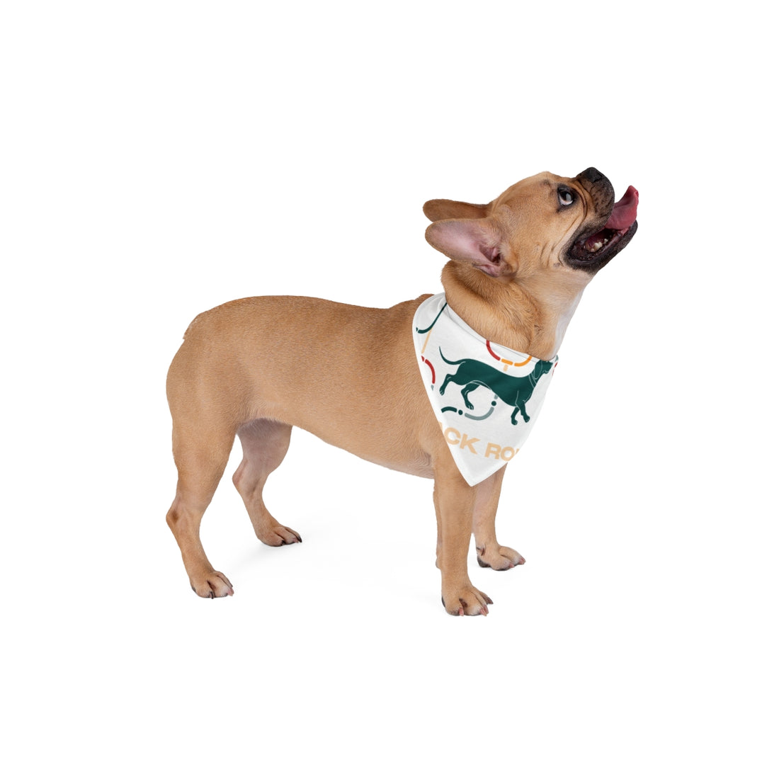20" × 10" — Lifestyle | Dachshund Snack Route Bandana