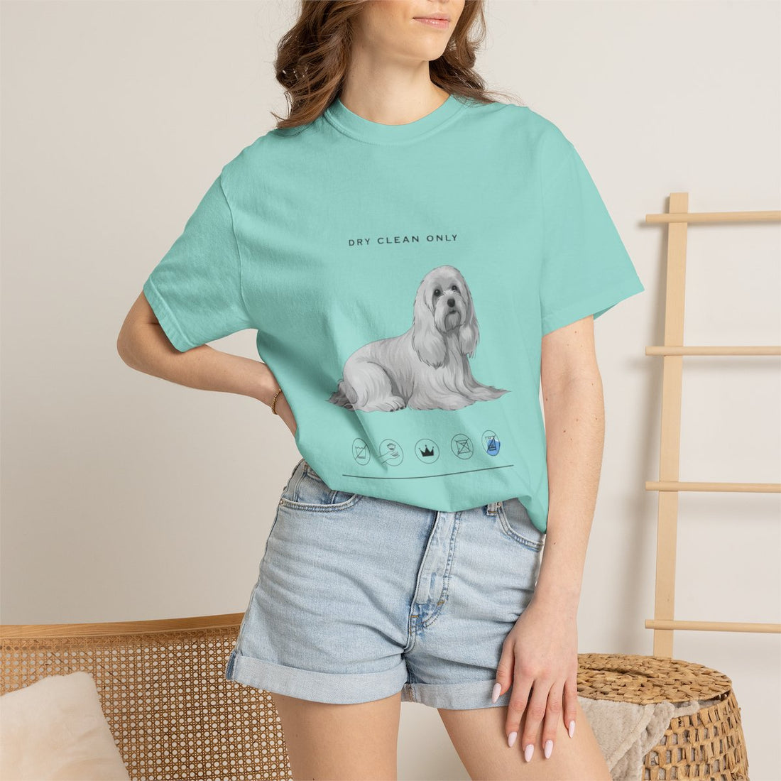 Chalky Mint — Lifestyle | Maltese 'Dry Clean Only' Garment-Dyed Tee