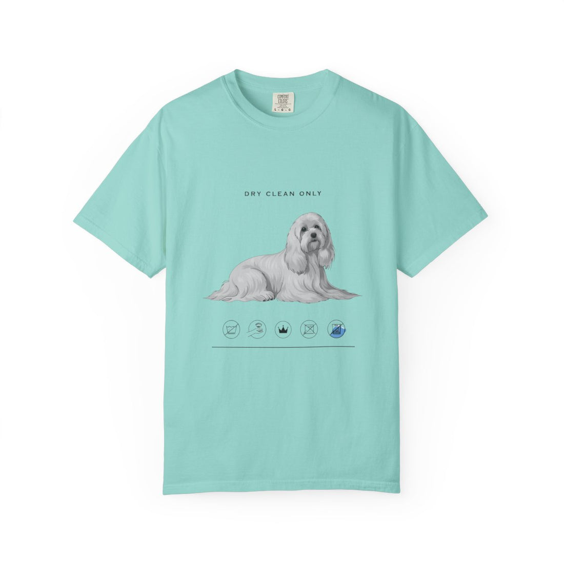 Chalky Mint — Front | Maltese 'Dry Clean Only' Garment-Dyed Tee