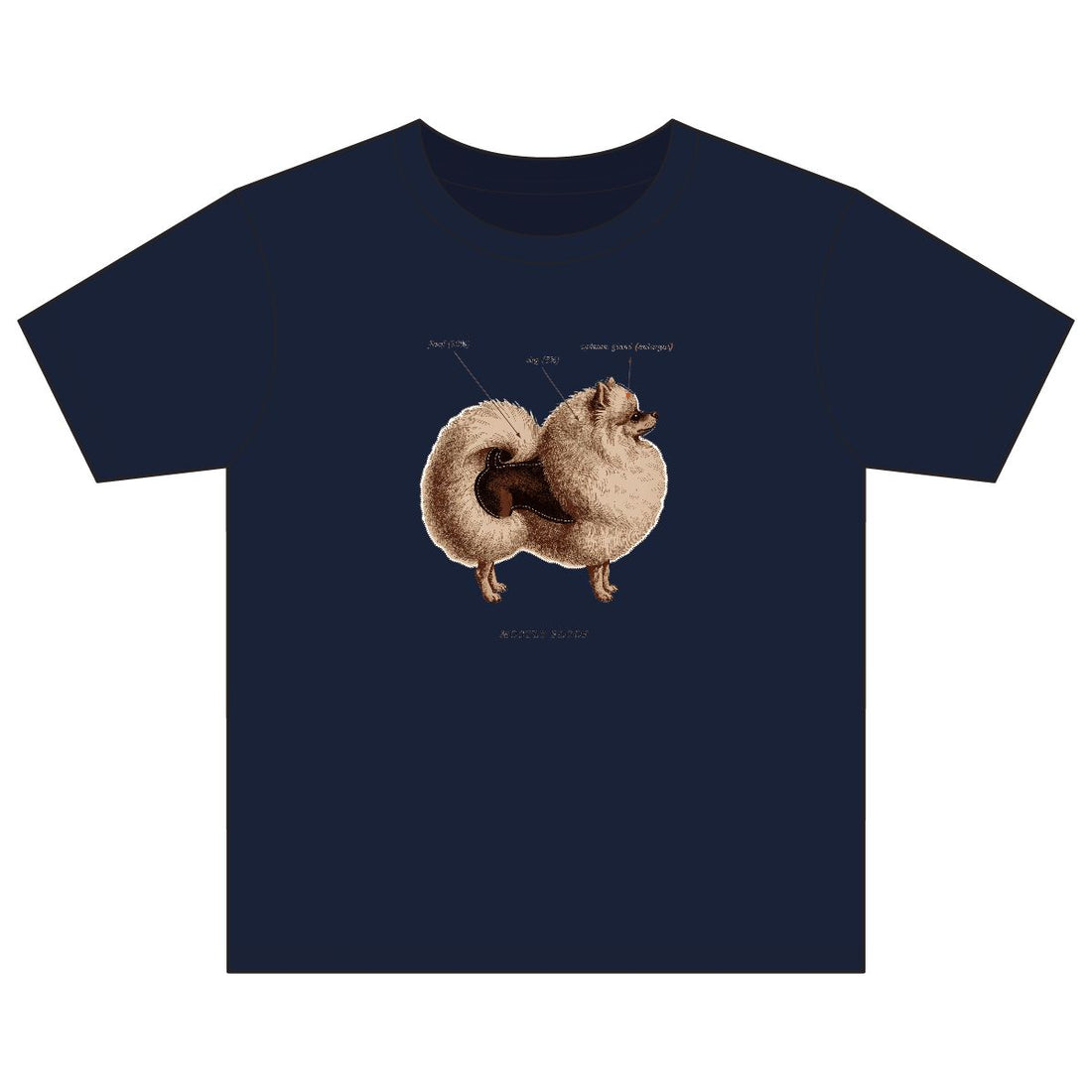 Navy — Front | Pomeranian 'Mostly Floof' Youth Tee