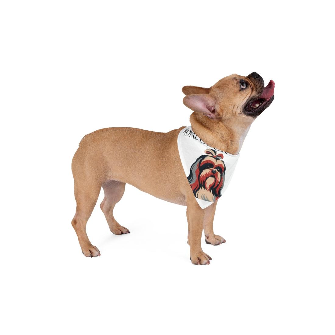 27" × 13" — Lifestyle | Shih Tzu Royal Coordinator Bandana