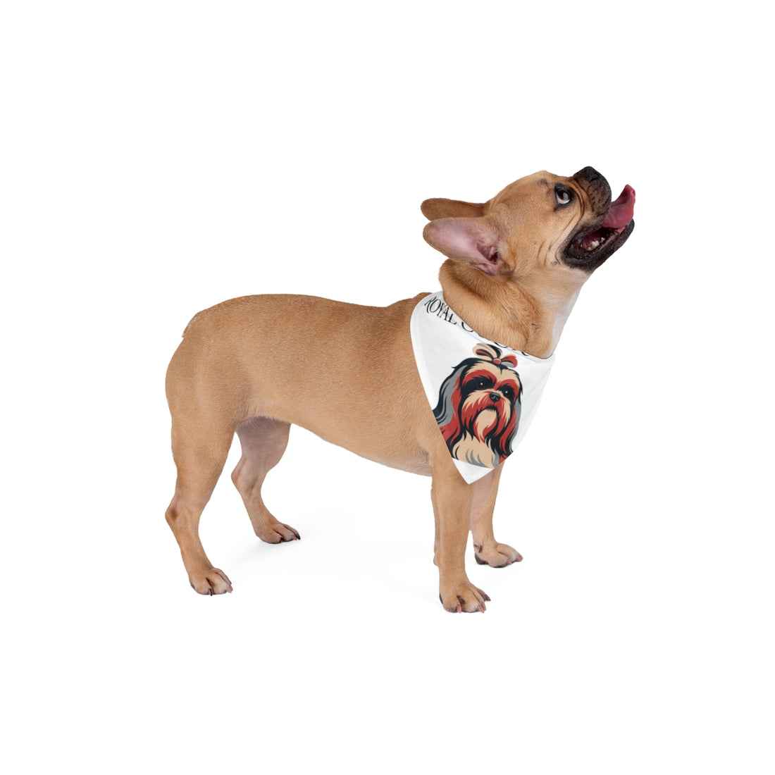 20" × 10" — Lifestyle | Shih Tzu Royal Coordinator Bandana