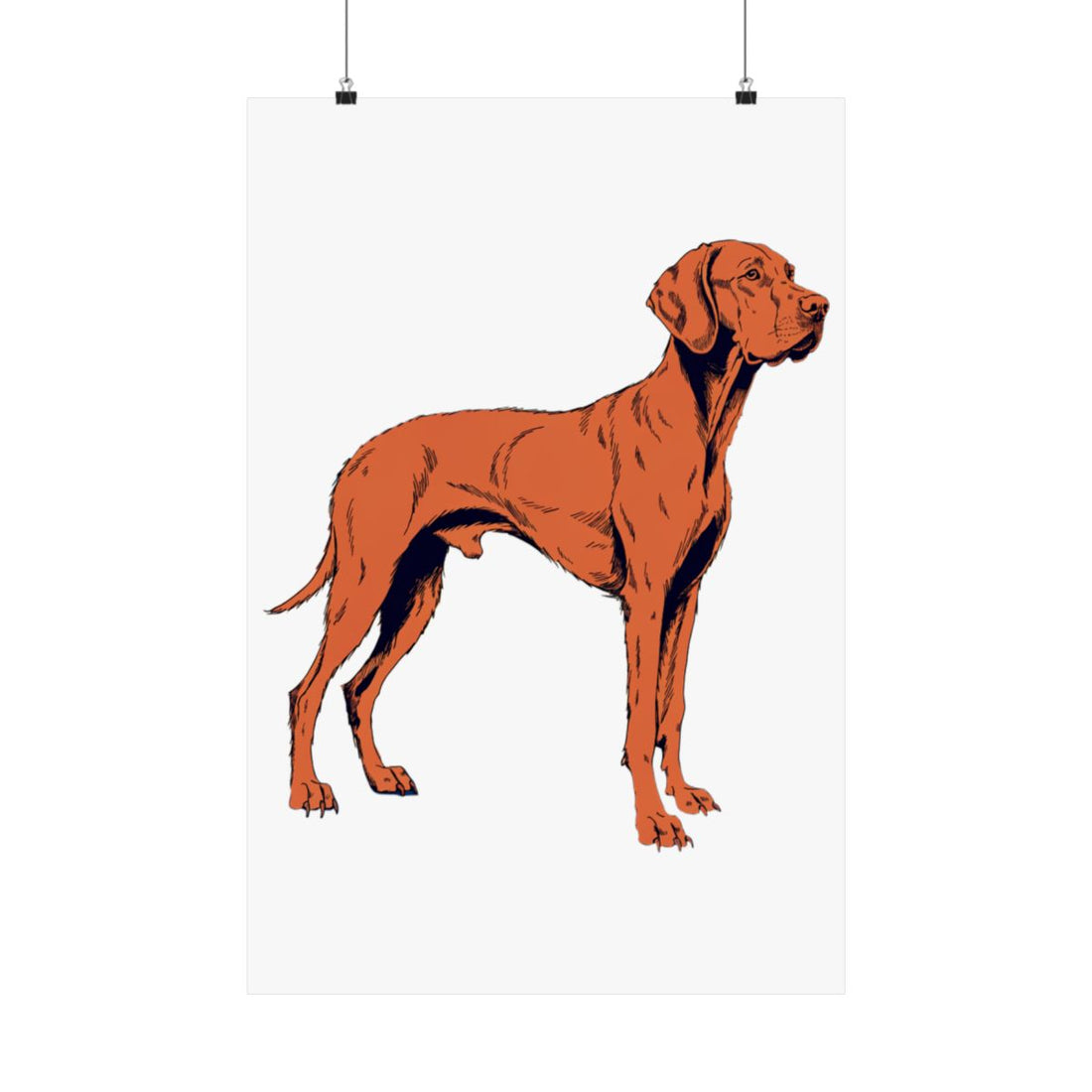 20″ x 30″ — Front | Vizsla Velcro Department Wall Art Poster