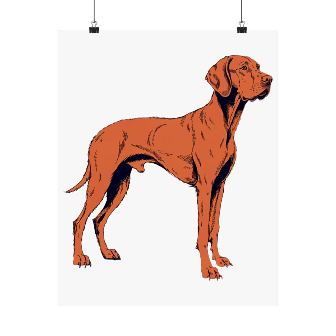 16″ x 20″ — Front | Vizsla Velcro Department Wall Art Poster