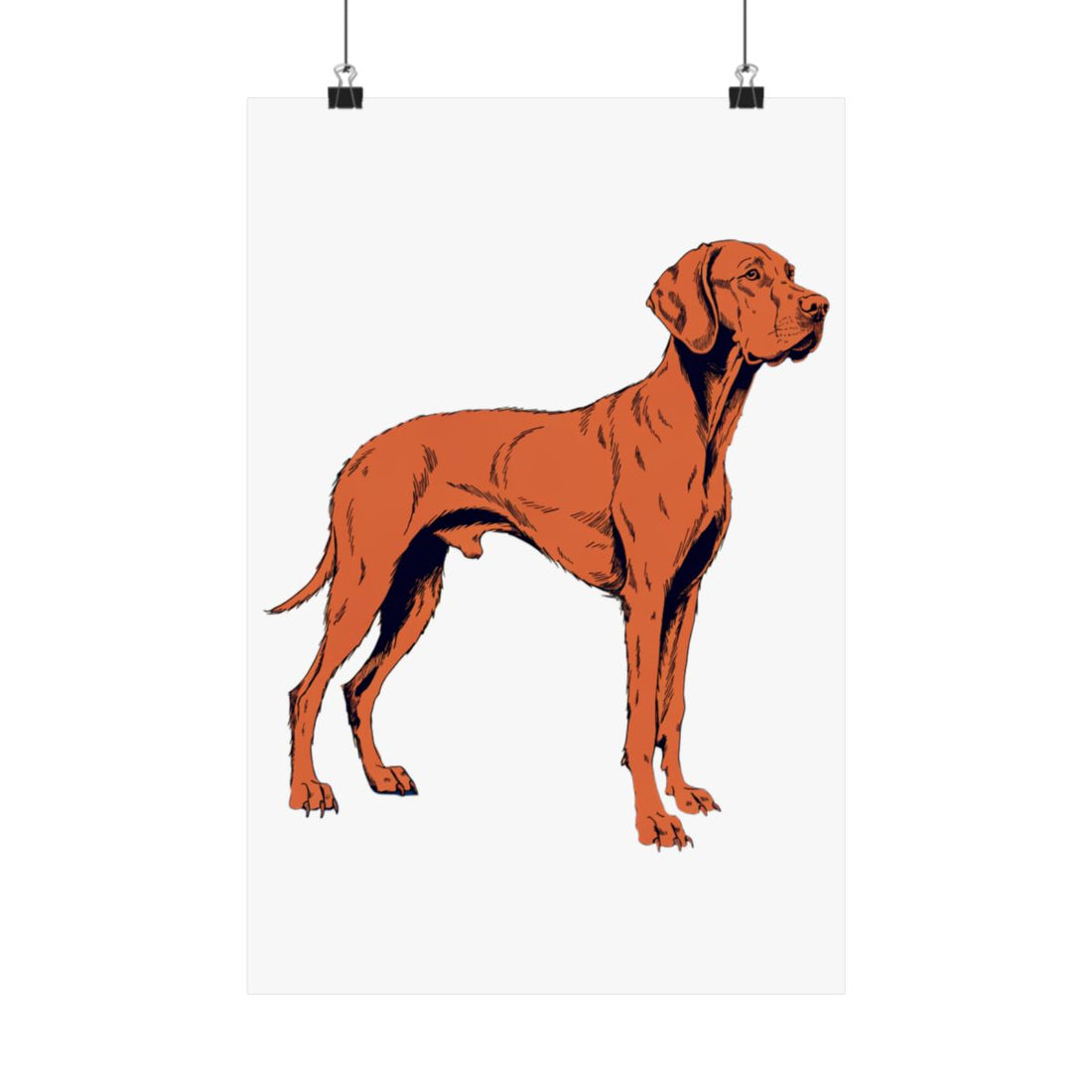 12″ x 18″ — Front | Vizsla Velcro Department Wall Art Poster