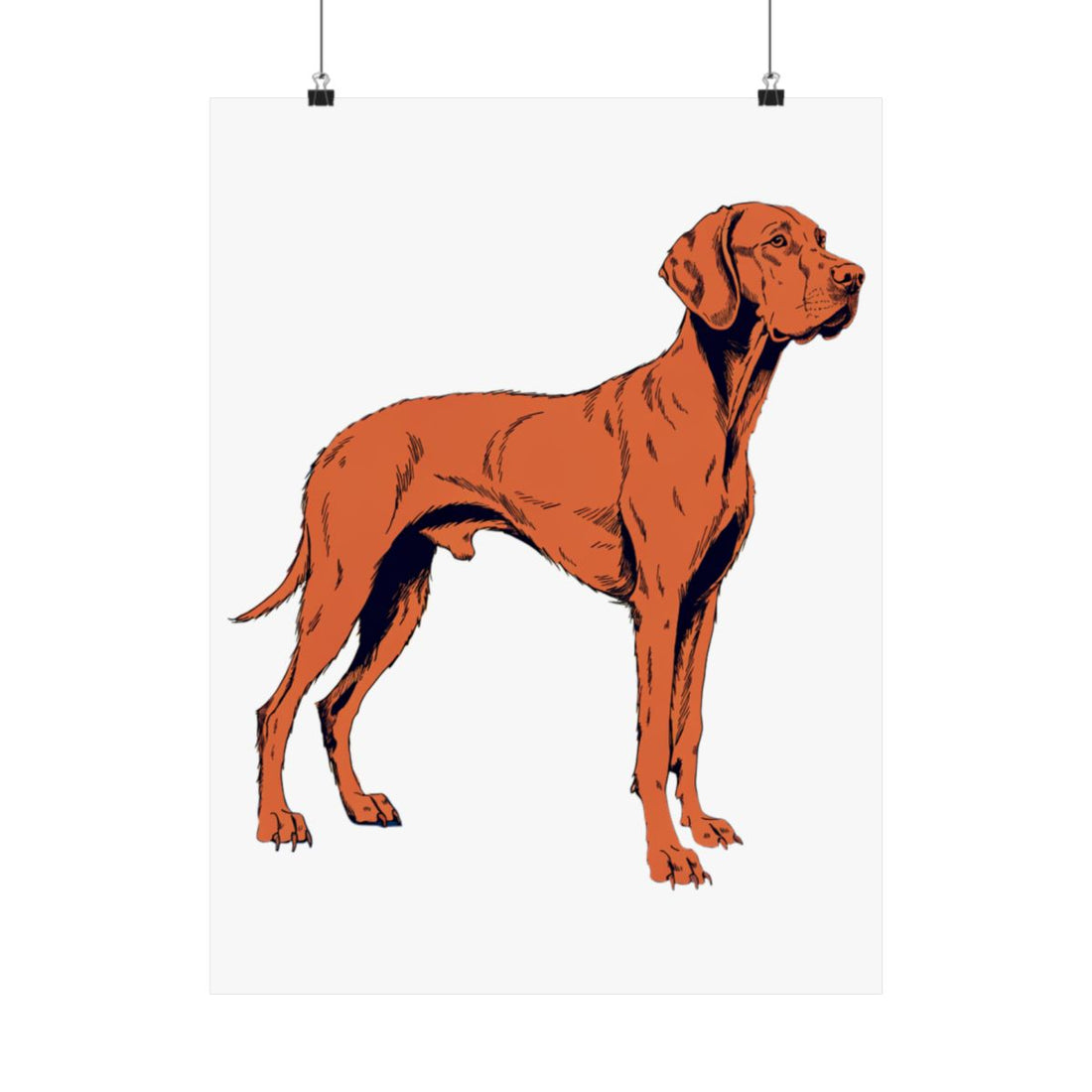 18″ x 24″ — Front | Vizsla Velcro Department Wall Art Poster