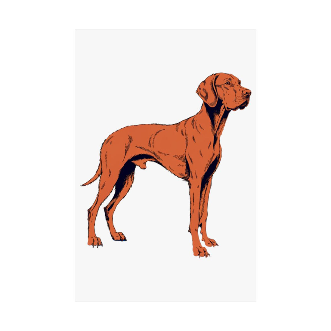 20″ x 30″ — Front | Vizsla Velcro Department Wall Art Poster