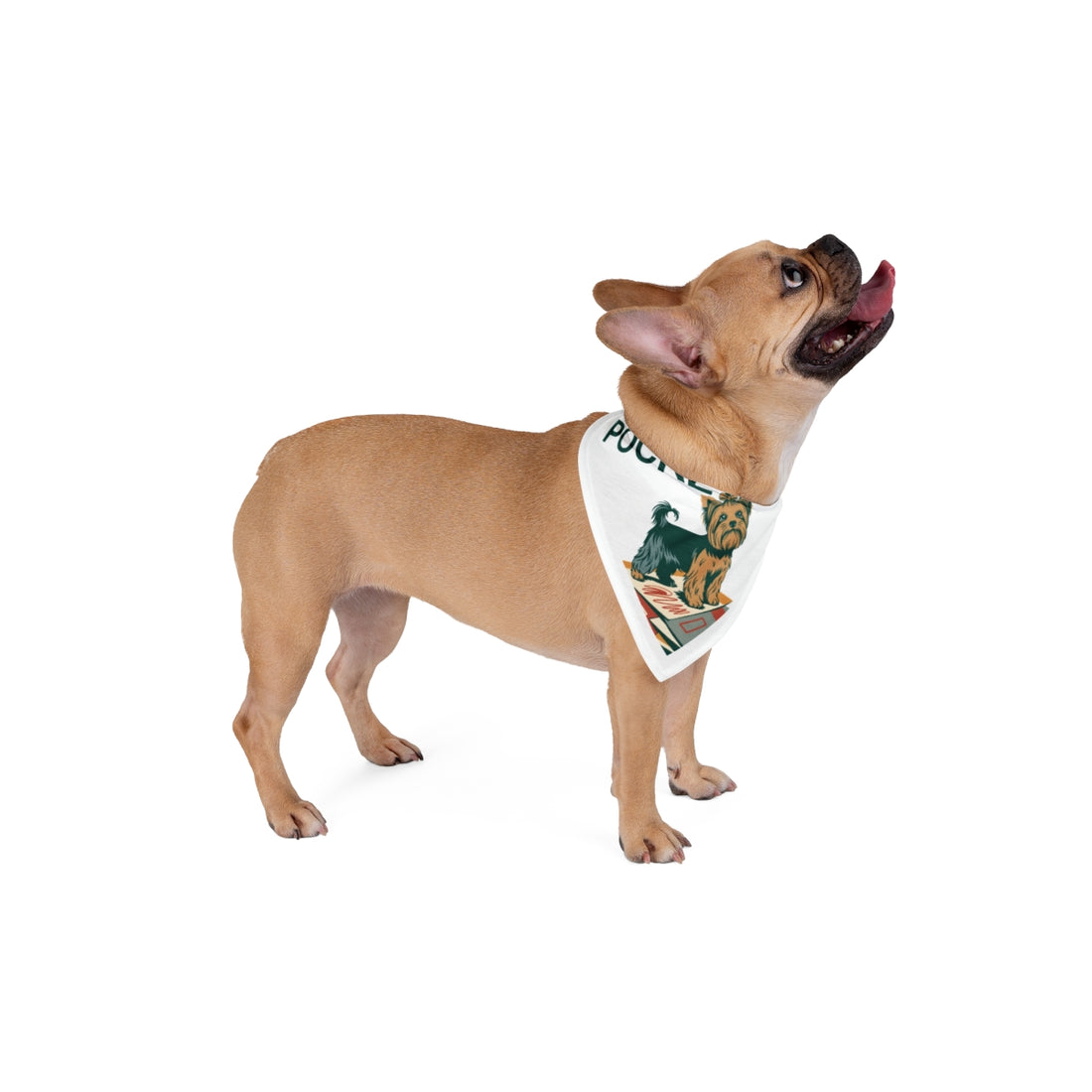 27" × 13" — Lifestyle | Yorkshire Terrier Pocket Boss Bandana